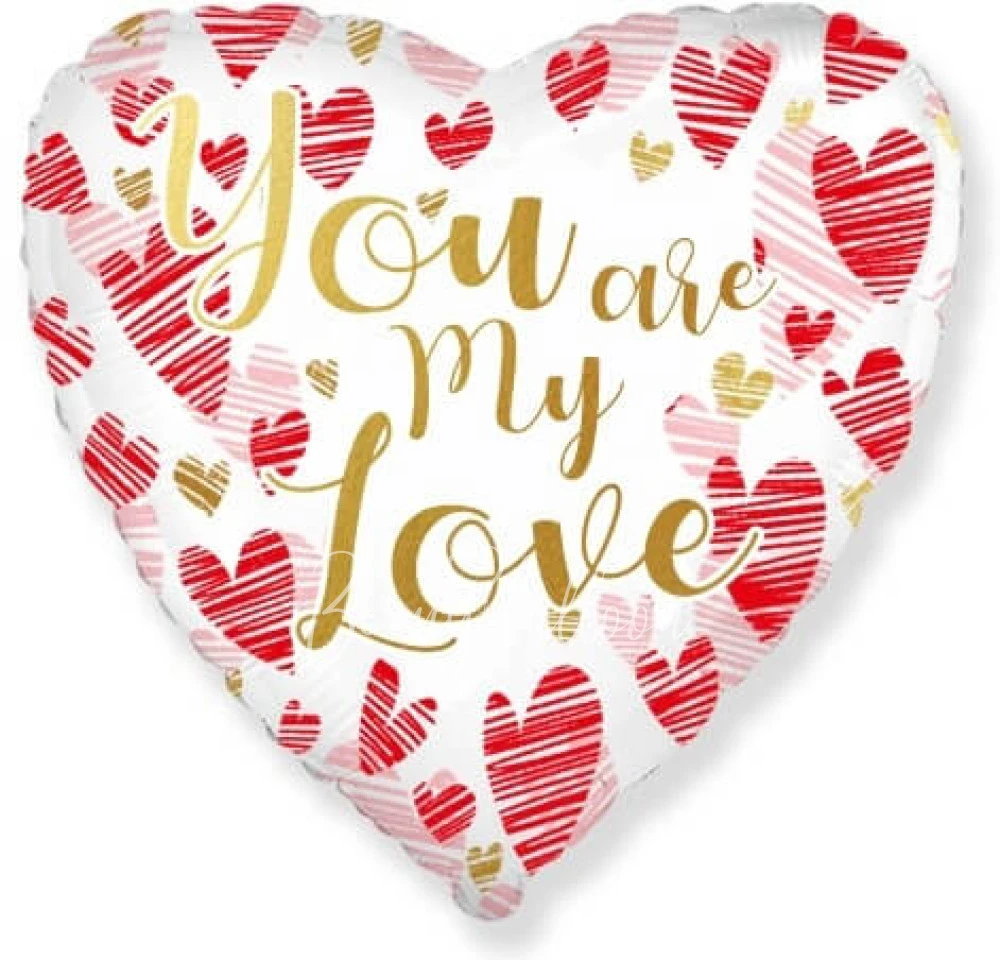 18" Helium foil You're my love heart balloon 