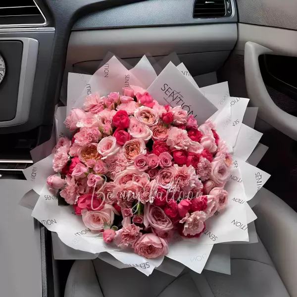 Pink dreams x Sention