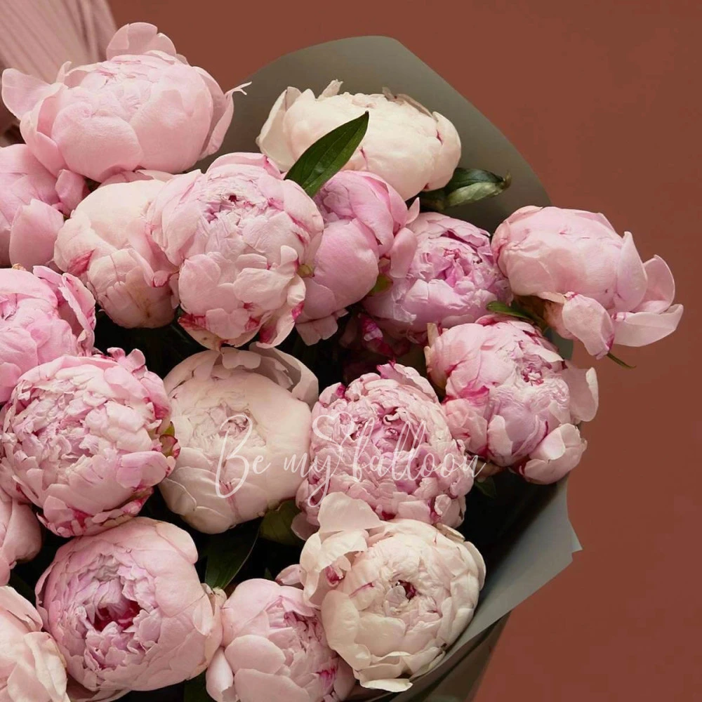 Peony Galore