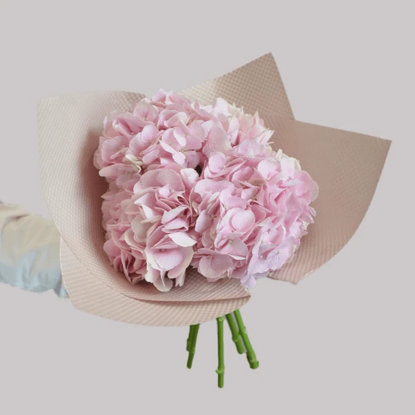 Hydrangeas