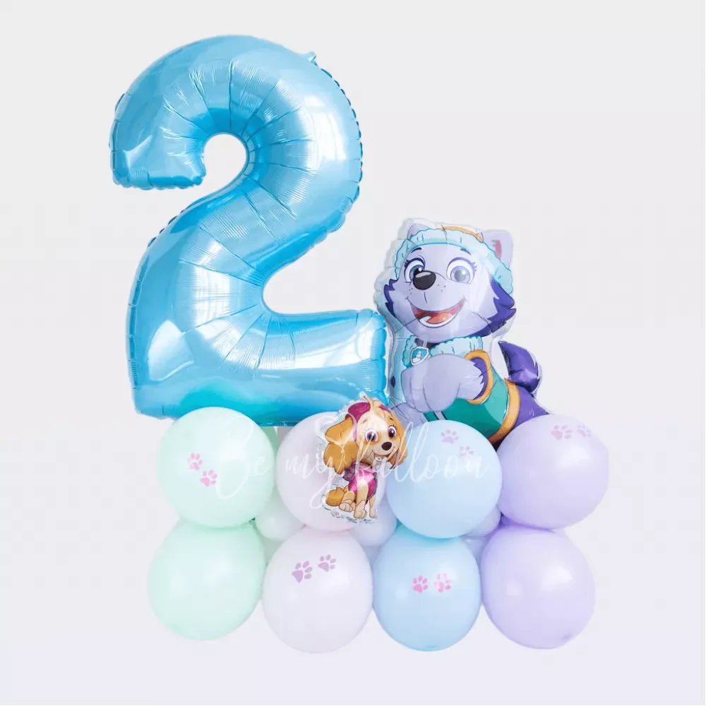 Paw patrol Skye&Everest air-filed birthday balloon composition