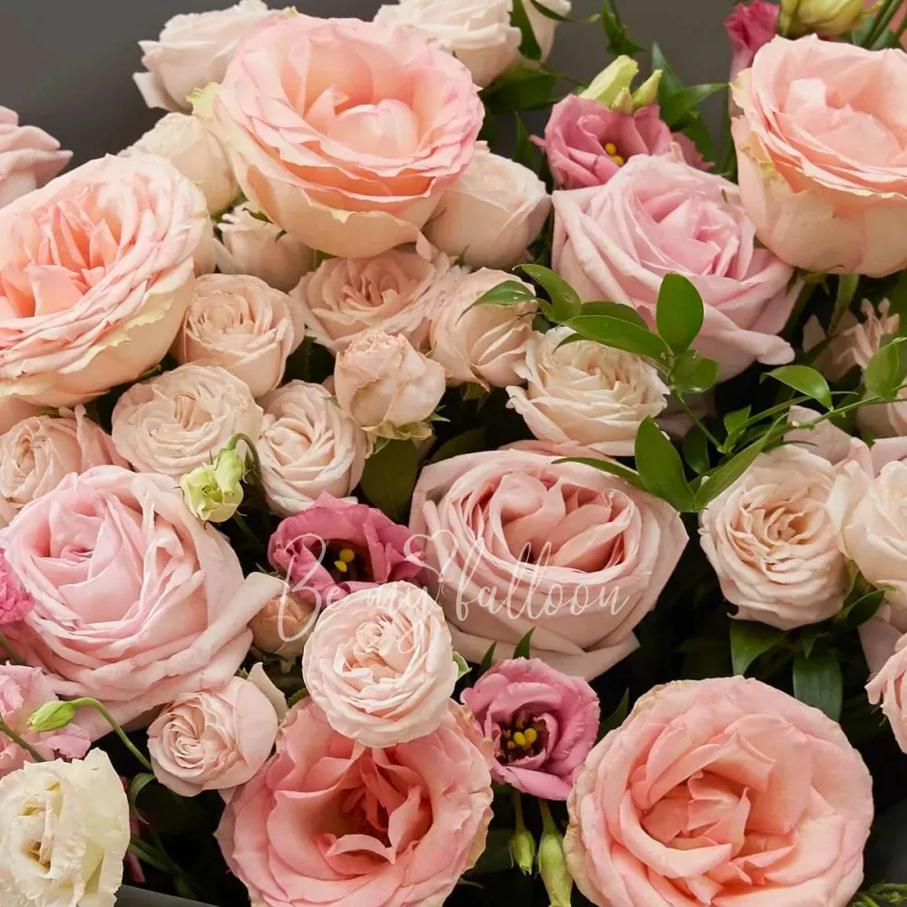 Выбор Альмиры