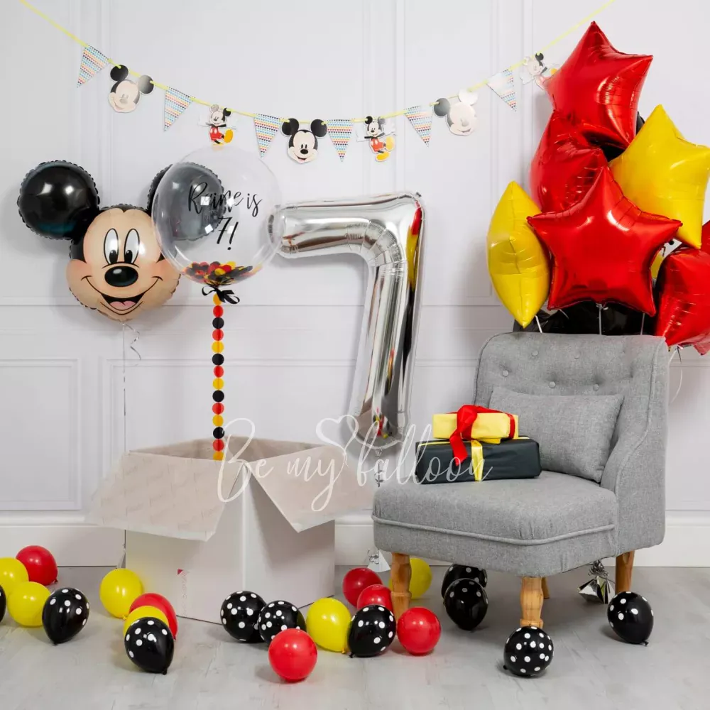 Mickey Mouse Birthday Package